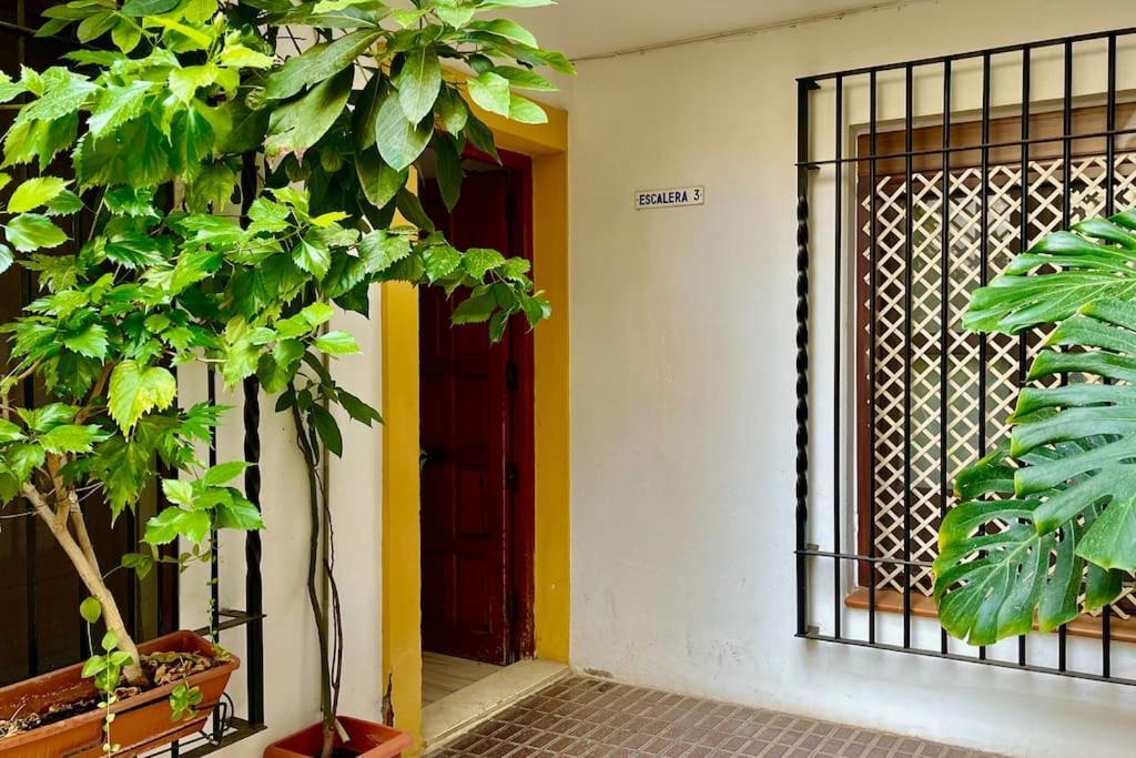 Apartamento Kenza Cordoba Ngoại thất bức ảnh
